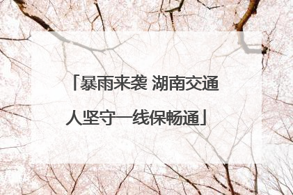 暴雨来袭 湖南交通人坚守一线保畅通
